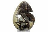 Septarian Dragon Egg Geode - Sparkly Black Crystals #355911-2